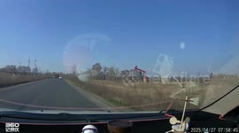 Driver crashes into cow that jumped from lorry and survived to flee