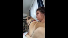 Owner Shares Side Profile With Pet Pug