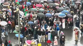 Morocco: Thousands rally in Rabat in solidarity with Palestinians amid ongoing Israeli genocide in Gaza