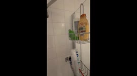 Clingy Cat Climbs onto Shower Door