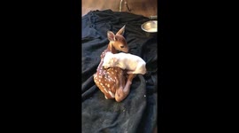 Deer and Puppy Snuggle Buddies