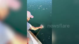 Man nabs massive 50cm bass with his bare hands
