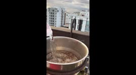 Man Gives Parakeets Water on His Patio
