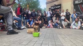 Spain: Barcelona Residents Rely on Radio Amid Massive Blackout