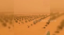 Egypt: Massive Dust Storm Slams Egypt, Reduces Visibility to Zero in Es-Sallum