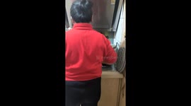 Two cats stare from microwave in video