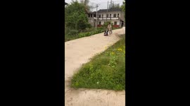Child in toy car veers into vegetable farm in Chongqing