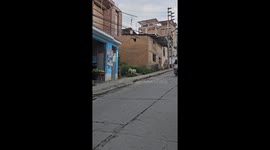 Dog in Perú looks like a lion