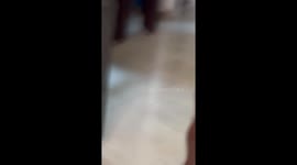 Dog slides into oven while chasing toy in Cali, Colombia