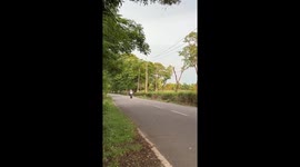 Motorcyclist falls after losing balance in Dibrugarh