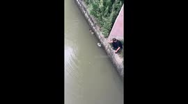 Person rescues cat from water using mop in Shanghai