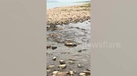 Man digs stream with bare hands to save dying fish in drought-hit riverbed