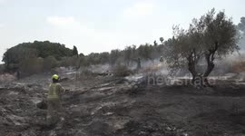 Israel: Firefighting efforts continue in Israel as wildfire leaves 20 injured (2)