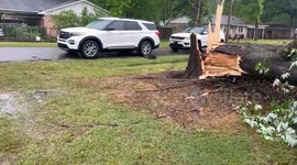 US: Damaging Storms Sweep Through Arkansas, Prompting Tornado Watch 3