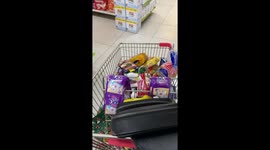 Six cats block shoppers in supermarket aisle
