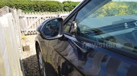 Mirror, Mirror on the Car… Who’s the Featheriest by Far