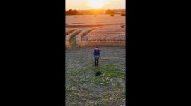 Intricate pattern Of 'Etchilhampton Crop Circle' unfold as drone flies higher