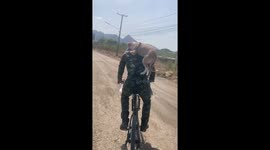 Soldier gives dog a piggyback as he rides bicycle