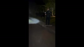 Moo-ving Violation: Boise Police Escort Cows Back Home