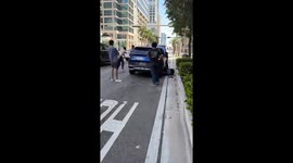 Kitten Rescued From Car Engine on Busy Fort Lauderdale, Florida Street