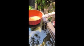 Thirsty Faucet Drinks Up Water