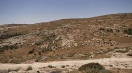 Elderly Palestinian holds onto his land despite settler violence in occupied West Bank (2)