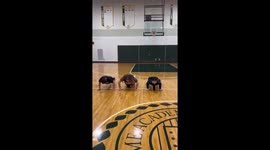 Worcester Officer Joins Students for Friendly Push-Up Challenge
