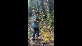 Child surrounded by yellow butterflies at waterfall in West Kalimantan