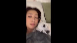 Dog humps owner's leg in San Francisco Bay Area video