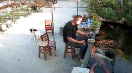 Angry fish splashes owner for forgetting to feed it - phone ends up in pond