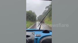 Lorries narrowly escape head-on crash at last minute