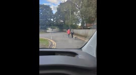 Dog follows mom calmly after slipping out of its harness during a walk