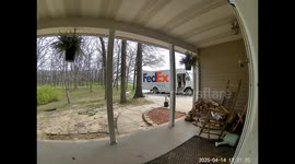 Package Driver Loves On Loose Pups