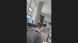 Dog’s determined pursuit of whipped cream causes a funny mishap with owner’s picture