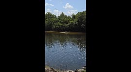 Random Sighting While Fishing