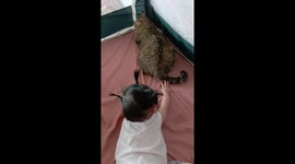 Cute moment when a cat used its tail to tease a baby while cat's body turned away