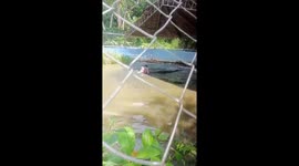 Man bitten by crocodile after entering enclosure in Zamboanga Sibugay