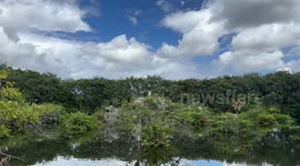 the sound of Nature at wetlands nature reserve in Florida