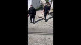Officers Rescue Ducklings From Storm Drain, Reunite Them With Mom