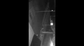 flying snake light