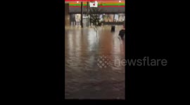 US: Thunderstorms Bring Heavy Rain and Strong Winds to Tennessee 3