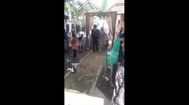 Startled cat leaps in the air as bride and groom walk down the aisle