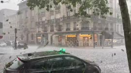 Heavy hailstorm hits Paris and strips leaves from trees