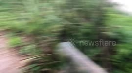 Person falls and drops belongings near beach in Brazil