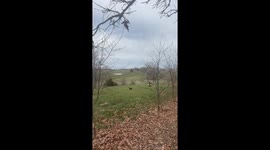 Person falls while attempting wheelie in Cassville, Missouri