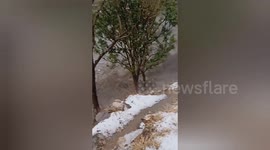 Flash floods surge down mountainside in northern India