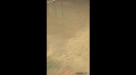 Flooded area in Cali filled with bugs trying to enter homes