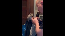 Squirrel Shares Chocolate Treat With Dad
