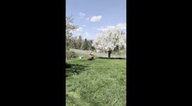 First Mow of the Year