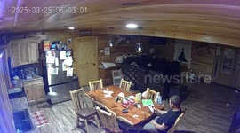 Man Unfazed by Kangaroo Jumping on Counter Top
